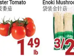 Oceans Fresh Food Market Cluster Tomato offer