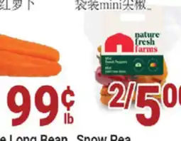 Oceans Fresh Food Market Chinese Carrot offer