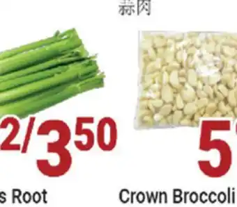 Oceans Fresh Food Market Chinese Celery offer