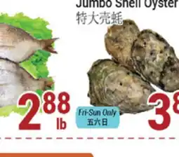 Oceans Fresh Food Market Jumbo Shell Oyster offer