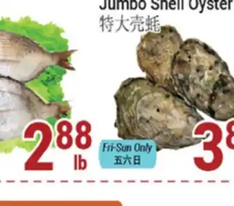 Oceans Fresh Food Market Jumbo Shell Oyster offer