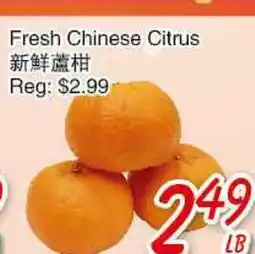 Foody Mart Fresh Chinese Citrus offer