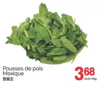 T&T Supermarket POUSSES DE POIS offer