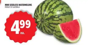 Metro MINI SEEDLESS WATERMELONS offer