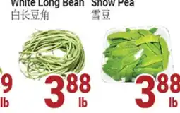 Oceans Fresh Food Market White Long Bean offer