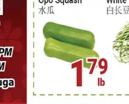 Oceans Fresh Food Market Opo Squash offer