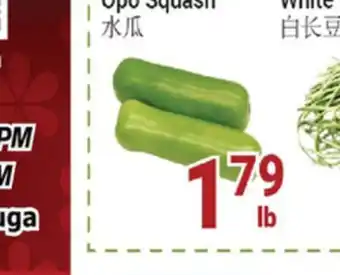 Oceans Fresh Food Market Opo Squash offer