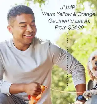 Petvalu JUMP! Warm Yellow & Orange Geometric Leash offer