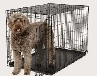 Petvalu Essentials Single Door Pet Crate offer