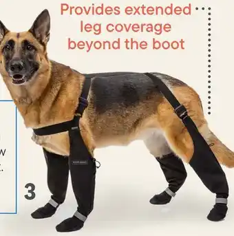 Petvalu Canada Pooch Suspender Boots offer