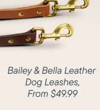 Petvalu Bailey & Bella Leather Dog Leashes offer