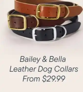 Petvalu Bailey & Bella  Leather Dog Collars offer