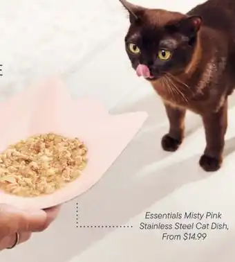 Petvalu Essentials Misty Pink  Stainless Steel Cat Dish offer