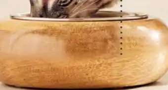 Petvalu Essentials Wooden Holder with Stainless Steel Cat Bowl offer