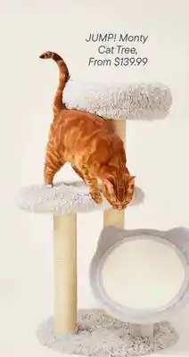 Petvalu JUMP! Monty  Cat Tree offer