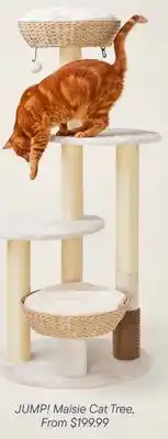 Petvalu Jump! Maisie Cat Tree offer