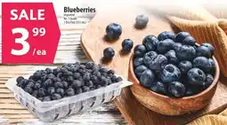 Co-op Blueberries offer