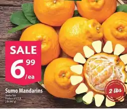 Co-op Sumo Mandarins offer