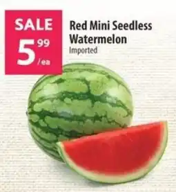 Co-op Red mini seedless watermelon offer