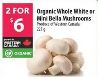 Co-op Organic Whole White or Mini Bella Mushrooms offer