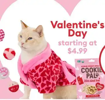 Petsmart Valentine's Day offer