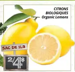 Supermarché PA CITRONS BIOLOGIQUES | Organic Lemons offer