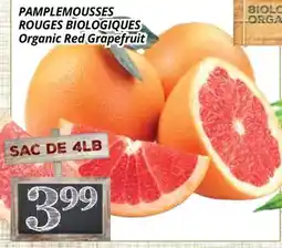 Supermarché PA PAMPLEMOUSSES ROUGES BIOLOGIQUES |Organic Red Grapefruit offer