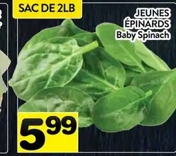 Supermarché PA JEUNES ÉPINARDS | Baby Spinach offer