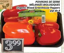 Supermarché PA POIVRONS DE SERRE MÉLANGÉS BIOLOGIQUES | ORGANIC MIXED GREENHOUSE PEPPERS offer