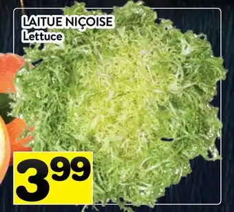 Supermarché PA LAITUE NIÇOISE | Lettuce offer