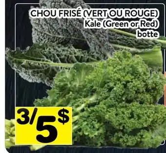 Supermarché PA CHOU FRISÉ (VERT OU ROUGE) | Kale (Green or Red) offer