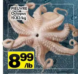 Supermarché PA PIEUVRE | Octopus offer