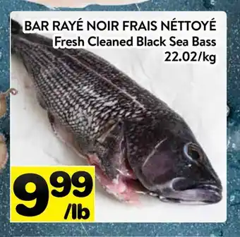 Supermarché PA BAR RAYÉ NOIR FRAIS NÉTTOYÉ | Fresh Cleaned Black Sea Bass offer