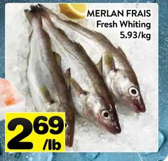 Supermarché PA MERLAN FRAIS | Fresh Whiting offer