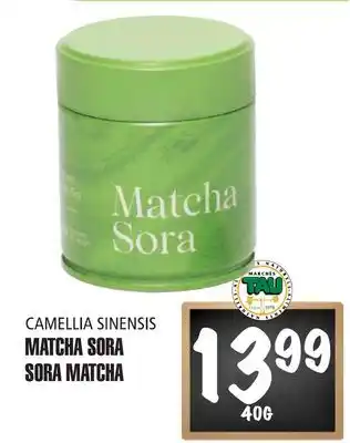 Marches Tau MATCHA SORA CAMELLIA SINENSIS offer