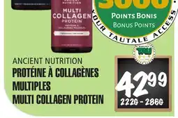 Marches Tau PROTÉINE À COLLAGÈNES MULTIPLES ANCIENT NUTRITION offer