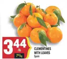 Marché Adonis CLEMENTINES WITH LEAVES offer