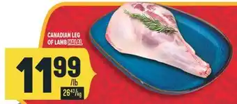 Marché Adonis CANADIAN LEG OF LAMB offer