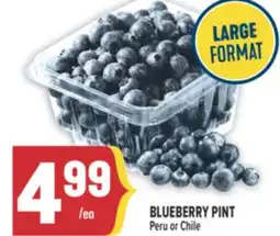 Marché Adonis BLUEBERRY PINT offer