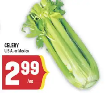 Marché Adonis CELERY offer