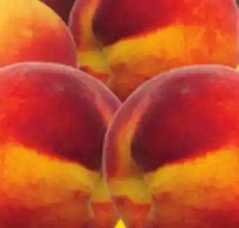 Giant Tiger 2 lb peaches offer