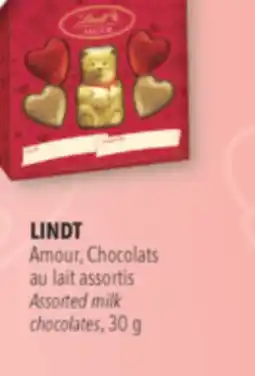 Familiprix LINDT Assorted milk chocolates, 30 g offer