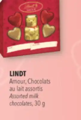 Familiprix LINDT Assorted milk chocolates, 30 g offer