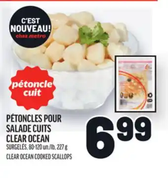 Metro PÉTONCLES POUR SALADE CUITS CLEAR OCEAN | CLEAR OCEAN COOKED SCALLOPS offer