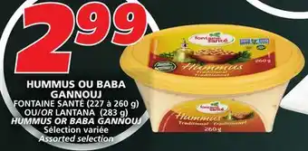 IGA FONTAINE SANTÉ HUMMUS offer