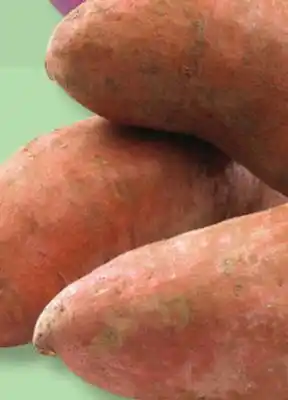 IGA ORANGE FLESH SWEET POTATOES offer