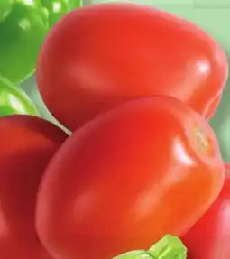 IGA ROMA ITALIAN TOMATOES offer