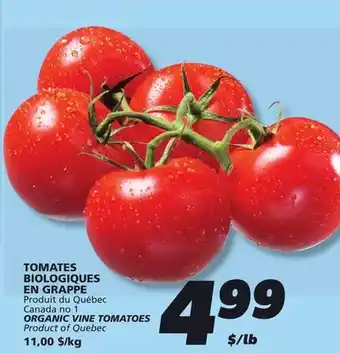 IGA ORGANIC VINE TOMATOES offer