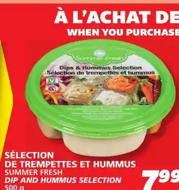 IGA SUMMER FRESH DIP AND HUMMUS SELECTION offer