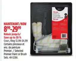 Canadian Tire Selected Premier Paint or Brush Sets offer